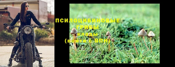 индика Пестово